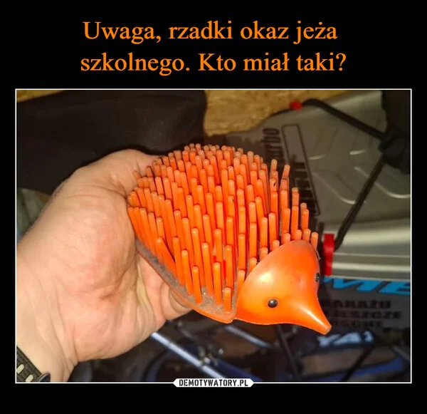 
    Uwaga, rzadki okaz jeża szkolnego. Kto miał taki?