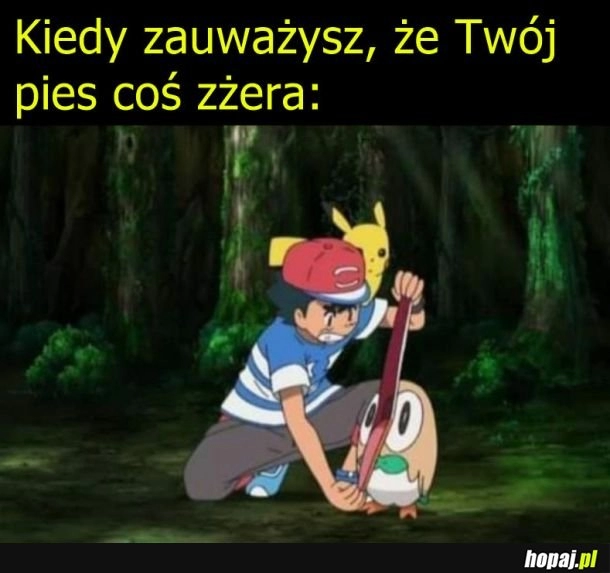 
    Zostaw to