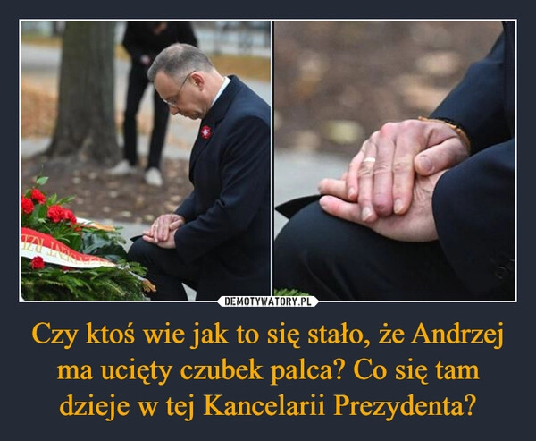 
    Czy ktoś wie jak to się stało, że Andrzej ma ucięty czubek palca? Co się tam dzieje w tej Kancelarii Prezydenta?