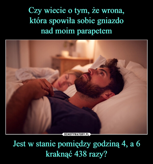 
    Czy wiecie o tym, że wrona,
która spowiła sobie gniazdo
nad moim parapetem Jest w stanie pomiędzy godziną 4, a 6
kraknąć 438 razy?