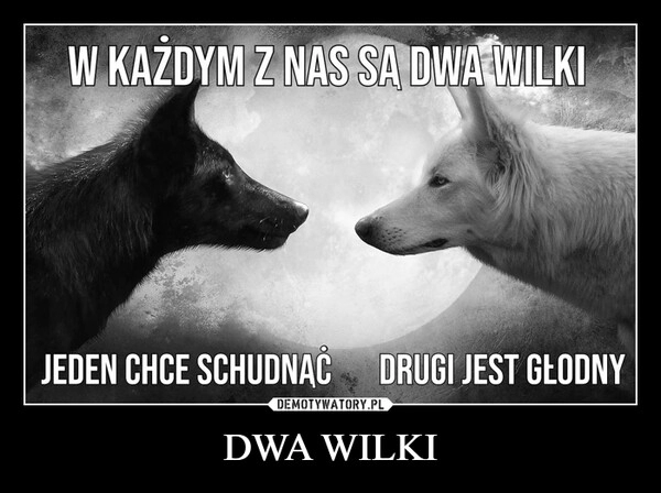 
    DWA WILKI