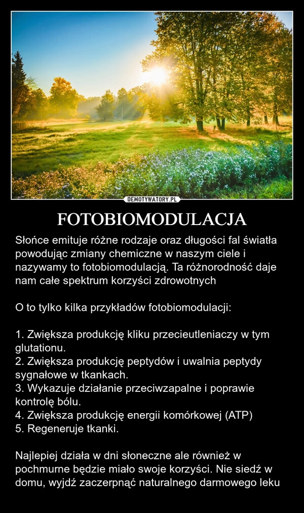 
    FOTOBIOMODULACJA