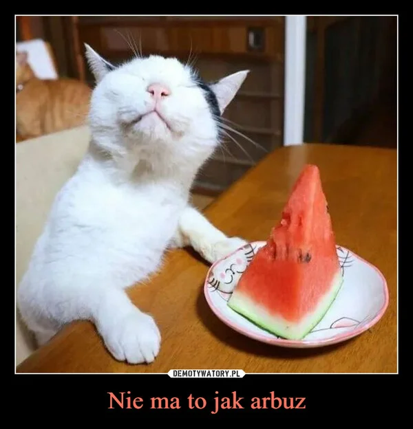 
    Nie ma to jak arbuz
