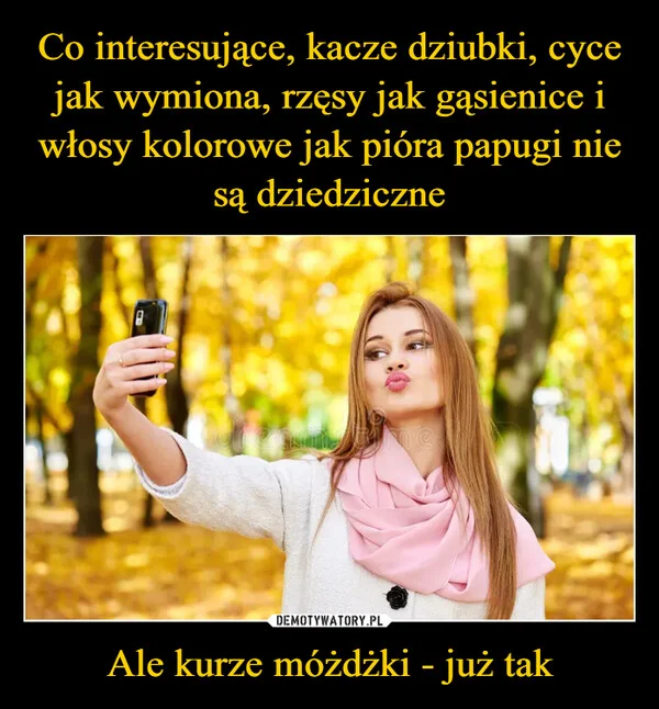
    Co interesujące, kacze dziubki, cyce jak wymiona, rzęsy jak gąsienice i włosy kolorowe jak pióra papugi nie są dziedziczne Ale kurze móżdżki - już tak