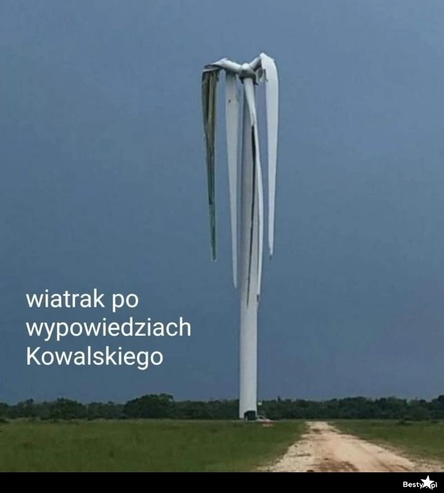 
    Skrzydła opadają 