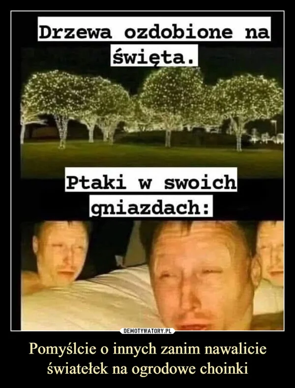 
    Pomyślcie o innych zanim nawalicie światełek na ogrodowe choinki