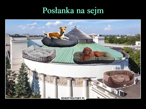 
    Posłanka na sejm