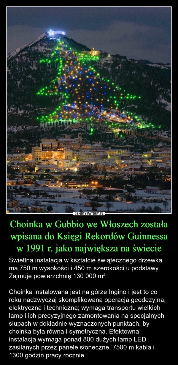 
    Choinka w Gubbio we Włoszech została wpisana do Księgi Rekordów Guinnessa w 1991 r. jako największa na świecie