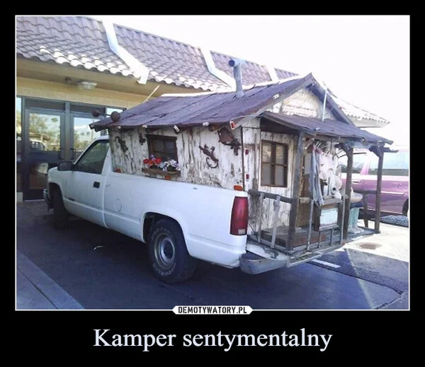
    Kamper sentymentalny