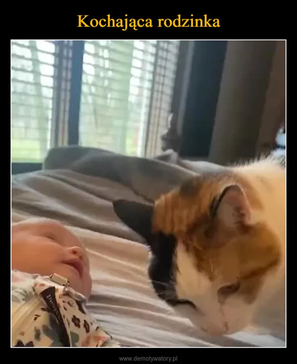 Kochająca rodzinka