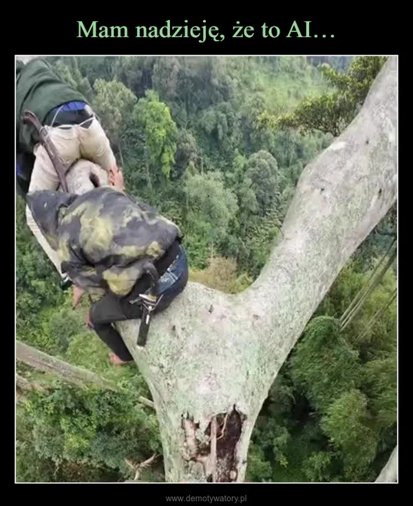 
    Mam nadzieję, że to AI…
