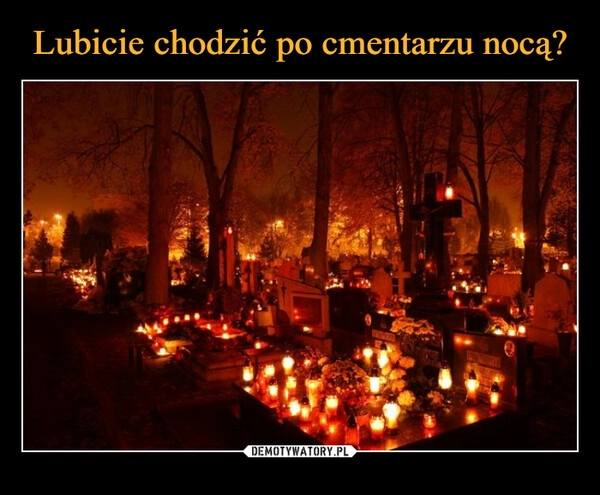 
    
Lubicie chodzić po cmentarzu nocą? 