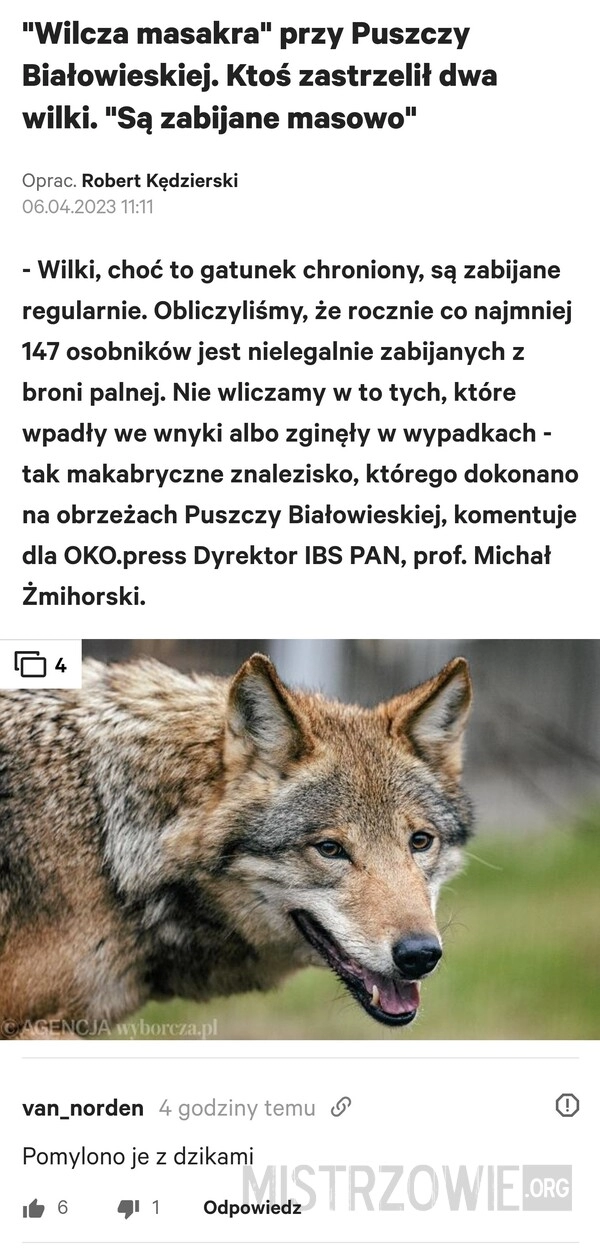 
    "Wilcza masakra"