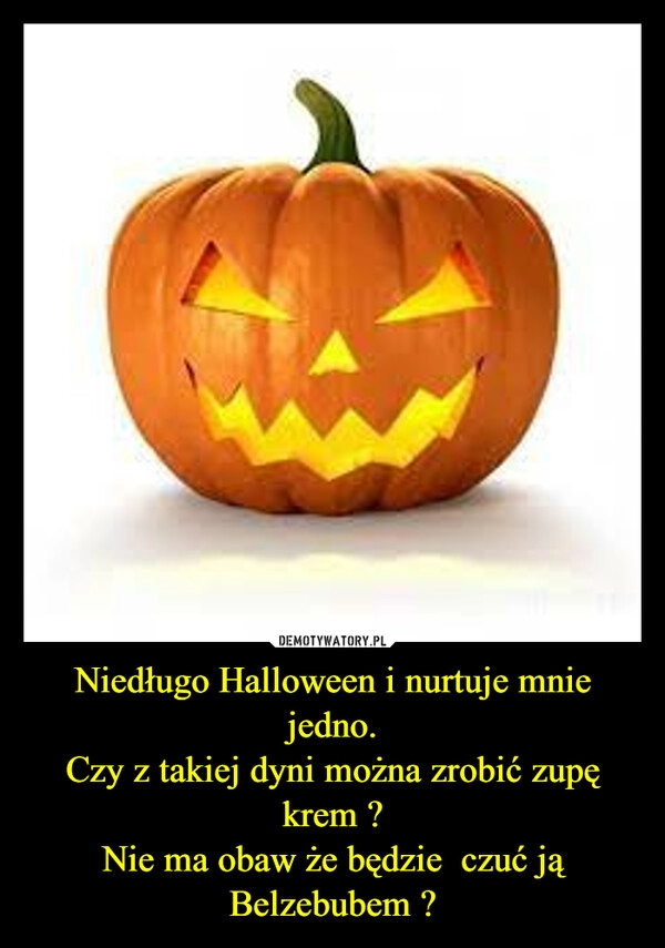 
    Niedługo Halloween i nurtuje mnie jedno.
Czy z takiej dyni można zrobić zupę krem ?
Nie ma obaw że będzie  czuć ją Belzebubem ?