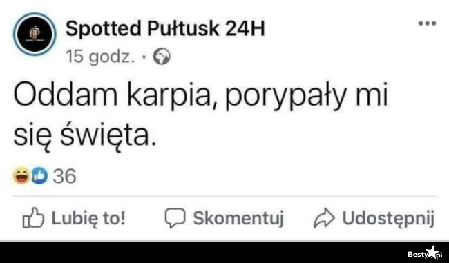 
    Świąteczny karp 