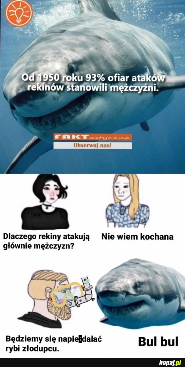 
    Rekiny vs mężczyźni