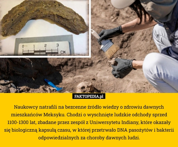 
    Naukowcy natrafili na bezcenne źródło wiedzy o zdrowiu dawnych mieszkańców