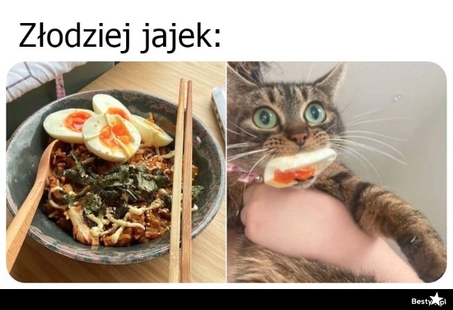 
    Złodziej 