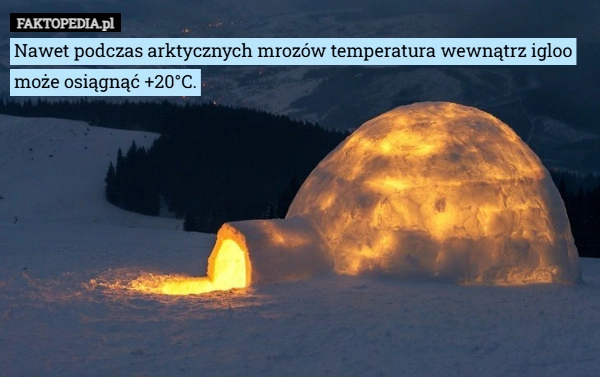 
    Nawet podczas arktycznych mrozów temperatura wewnątrz igloo może osiągnąć