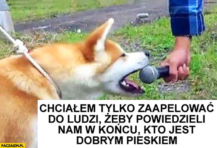 
    Chciałem tylko zaapelować do ludzi żeby powiedzieli nam w końcu kto jest dobrym pieskiem pieseł mówi do mikrofonu