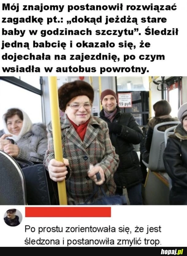 
    Zorientowała się