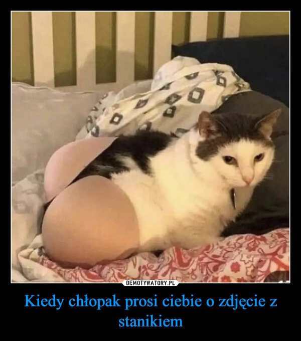 
    Kiedy chłopak prosi ciebie o zdjęcie z stanikiem