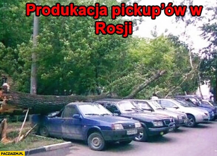 
    Produkcja pickupów w Rosji drzewo spadło na samochody
