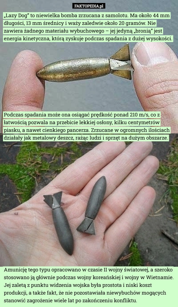 
    „Lazy Dog” to niewielka bomba zrzucana z samolotu. Ma około 44 mm długości,