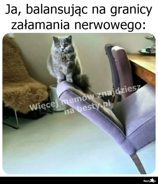 
    Trzeba się jakoś trzymać 