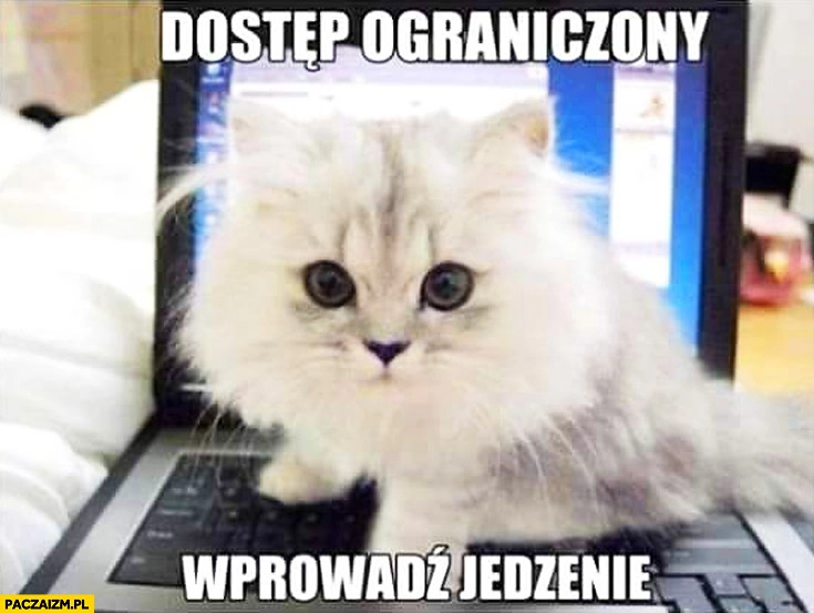 
    Dostęp ograniczony wprowadź jedzenie kotek na laptopie