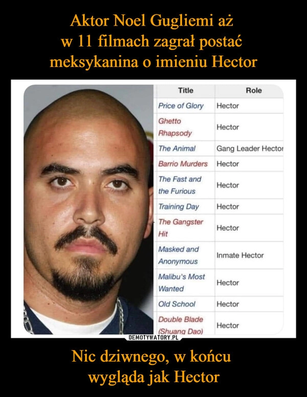 
    Aktor Noel Gugliemi aż 
w 11 filmach zagrał postać 
meksykanina o imieniu Hector Nic dziwnego, w końcu 
wygląda jak Hector