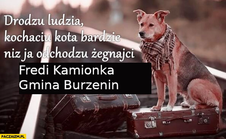 
    Drodzy ludzie kochacie kota bardziej niż ja odchodzę żegnajcie pies fredi kamionka gmina burzenin