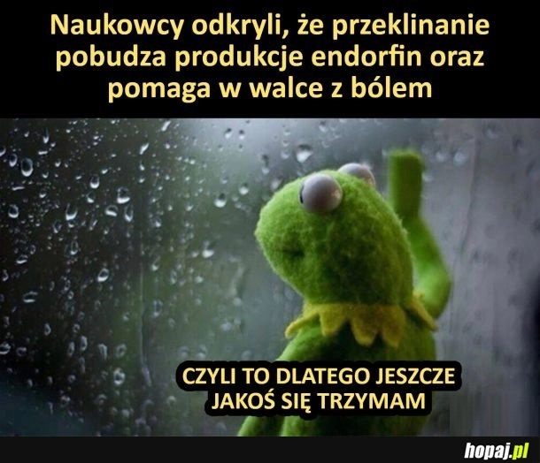 
    Przeklinanie ma moc