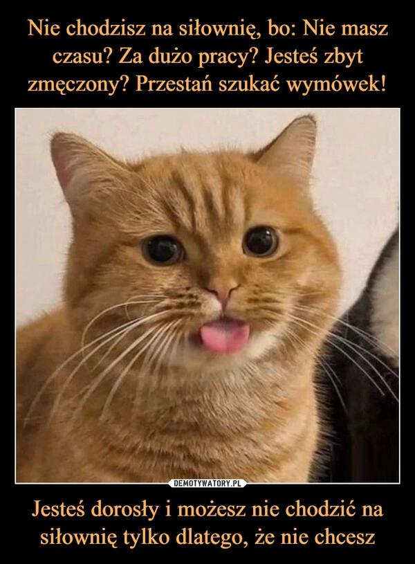 
    Nie chodzisz na siłownię, bo: Nie masz
czasu? Za dużo pracy? Jesteś zbyt zmęczony? Przestań szukać wymówek! Jesteś dorosły i możesz nie chodzić na siłownię tylko dlatego, że nie chcesz