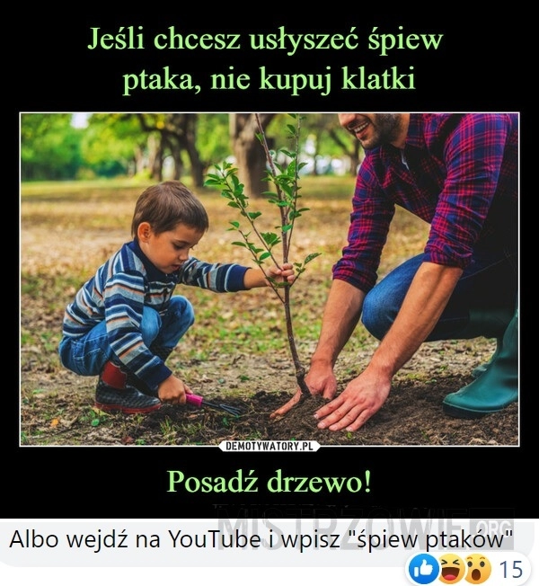 
    Drzewo