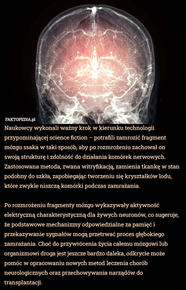 
    Naukowcy wykonali ważny krok w kierunku technologii przypominającej science