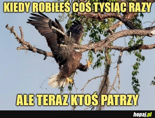 
    Nie patrz!