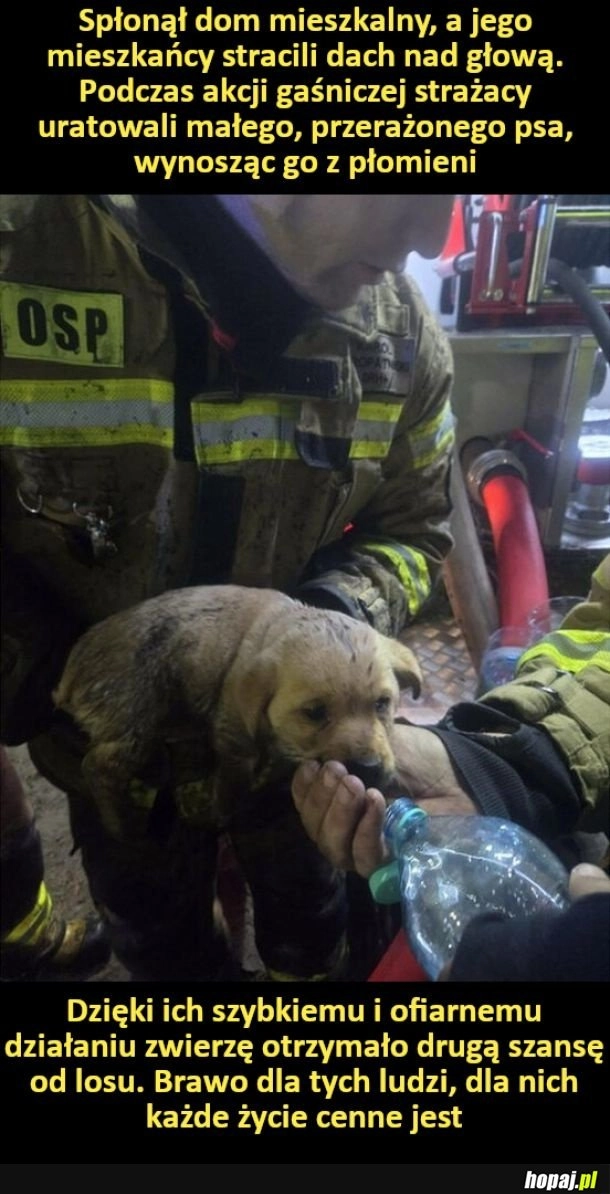 
    Szacun dla strażaków