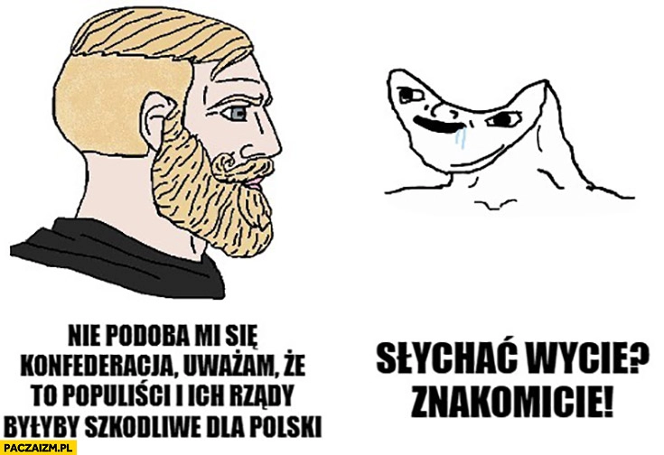 
    Nie podoba mi się Konfederacja, uważam, że to populiści i ich rządy byłyby szkodliwe dla Polski, słychać wycie znakomicie upośledzony