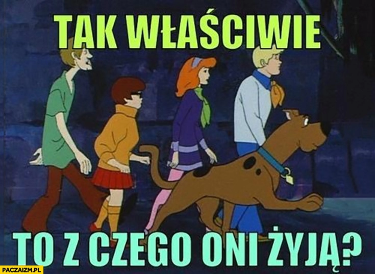 
    Scooby-Doo tak właściwie to z czego oni żyją?