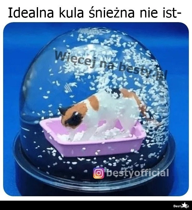 
    Kula śnieżna 