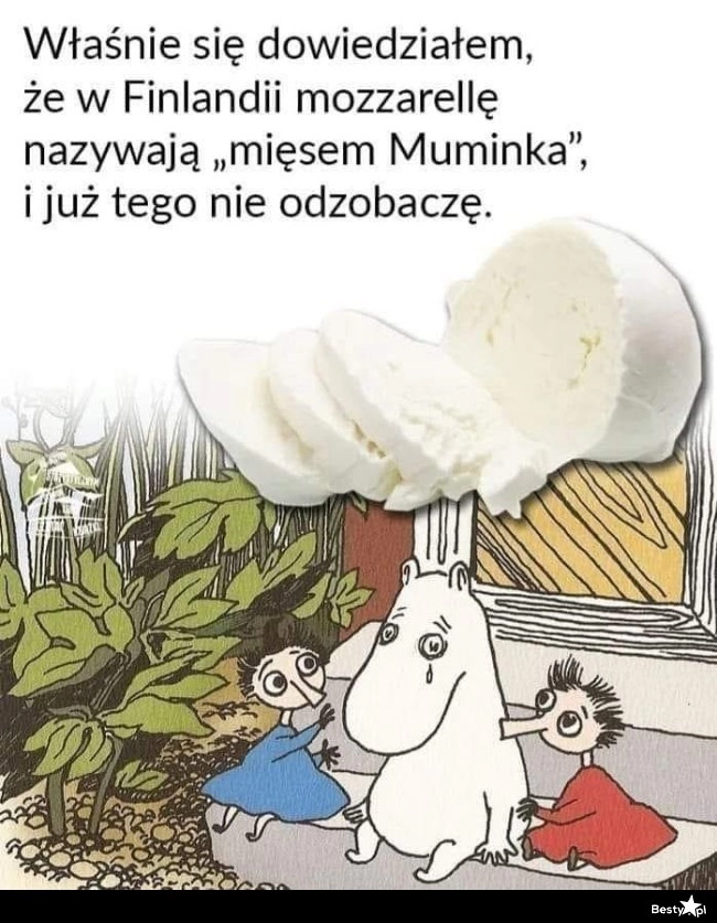 
    Mozzarella 