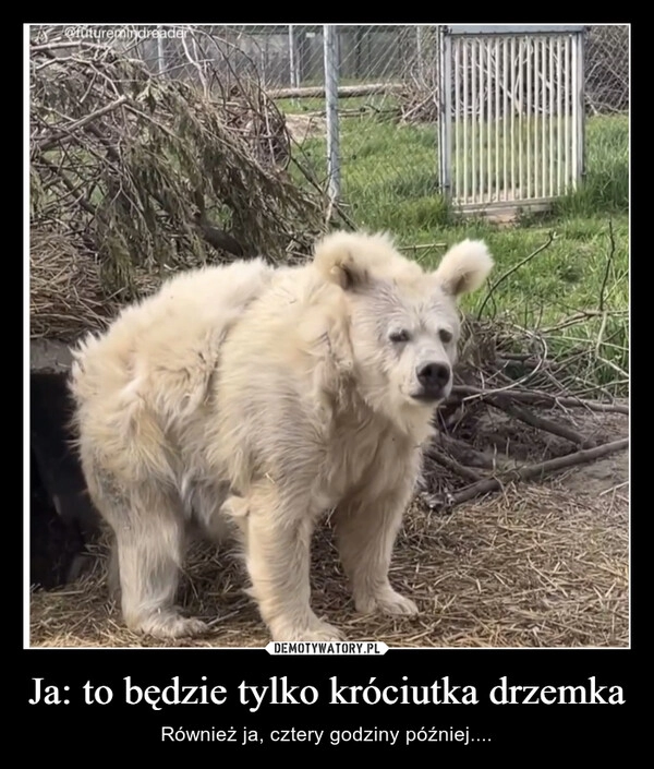 
    Ja: to będzie tylko króciutka drzemka