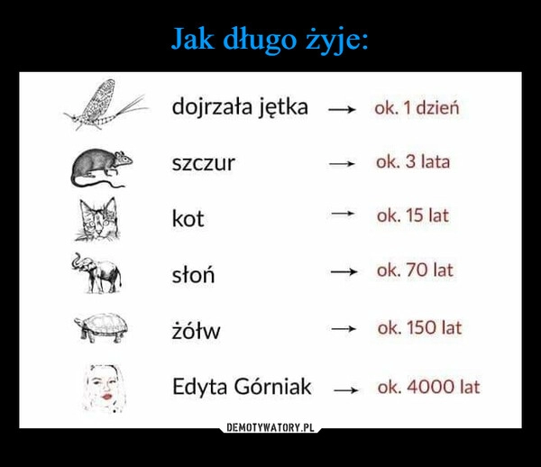 
    
Jak długo żyje: 