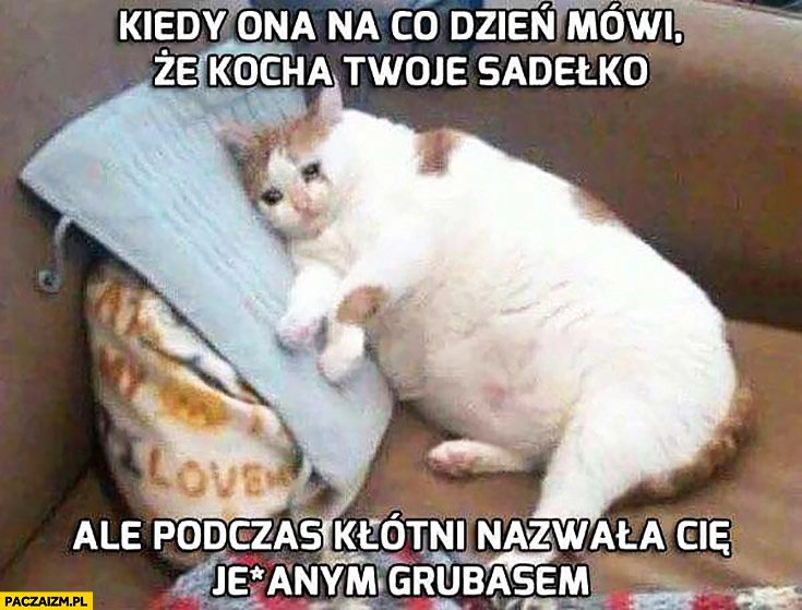 
    Kiedy ona na co dzień mówi, że kocha Twoje sadełko, ale podczas kłótni nazwała Cię jechanym grubasem. Smutny kot płacze