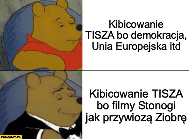 
    Puchatek kibicowanie Tisza bo demokracja unia vs bo filmy Stonogi jak przywiozą Ziobre