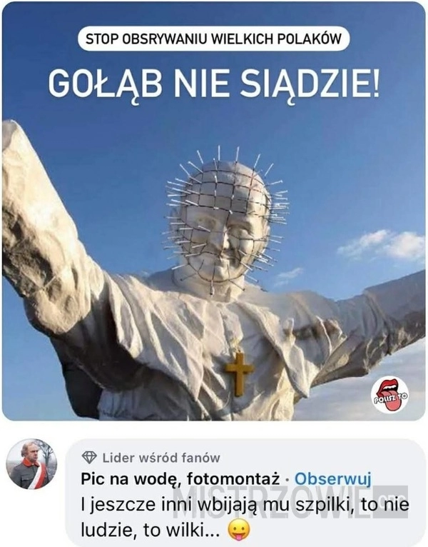 
    Gołąb