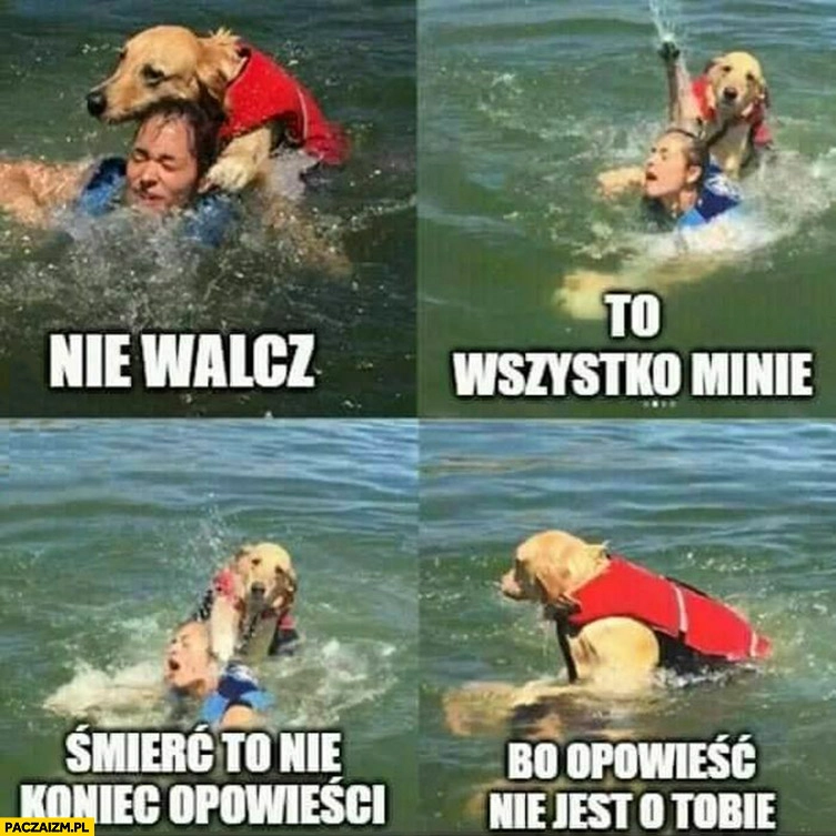 
    Pies ratownik topielec nie walcz to wszystko minie śmierć to nie koniec opowieści bo opowieść nie jest o tobie