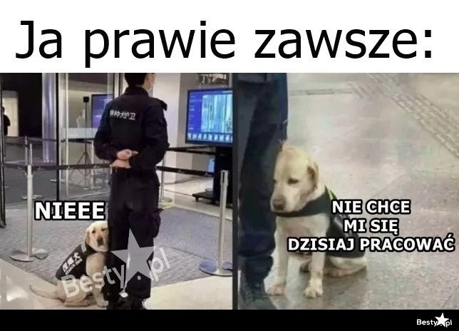 
    To nie mój dzień 