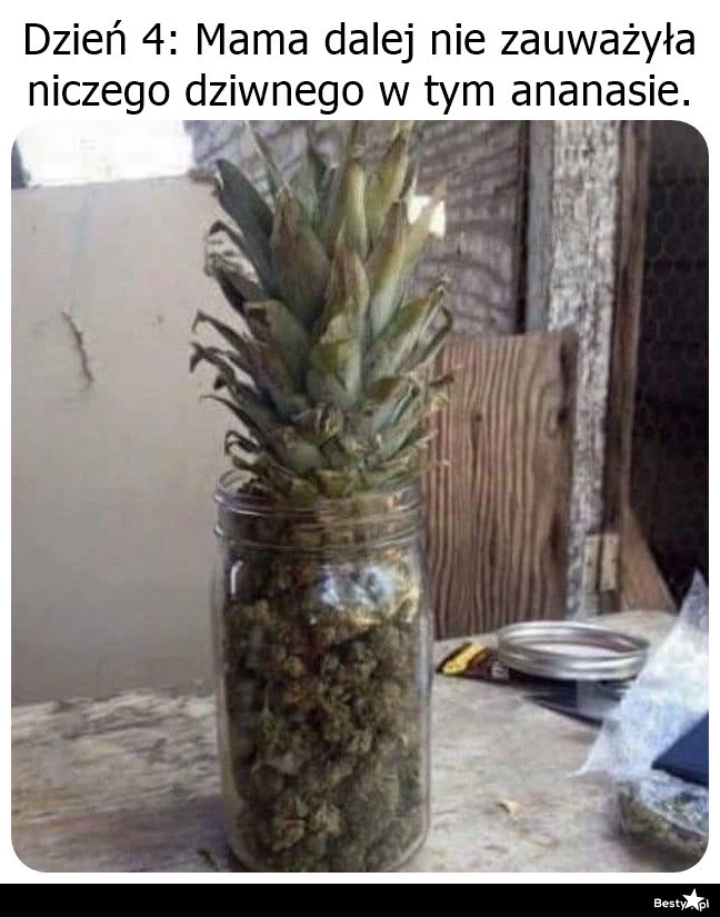 
    Ziołowy ananas 